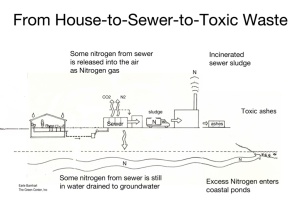 House-Sewer-Waste